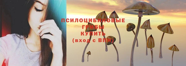 дмт Алзамай