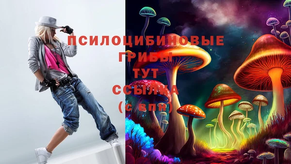 дурь Алексин