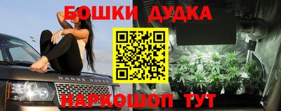 дмт Кимры