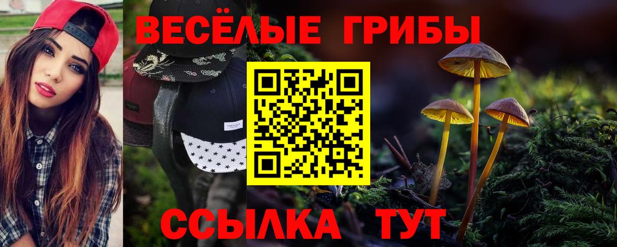 Псилоцибиновые грибы Psilocybe  цены   Сорочинск  Вход с VPN 